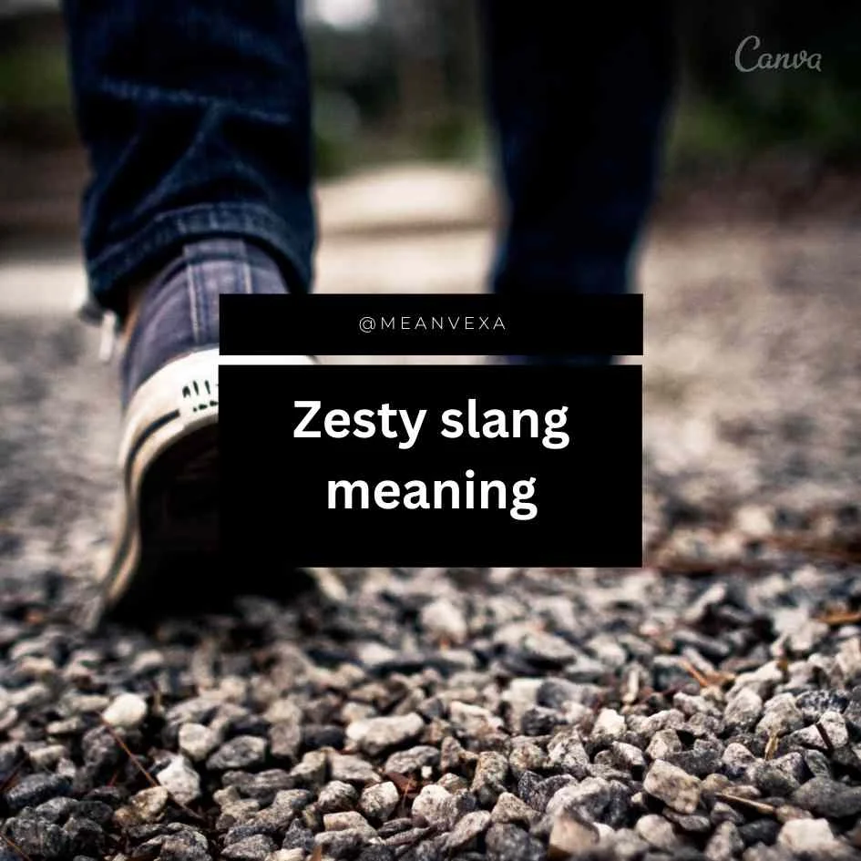 Zesty Slang Meaning